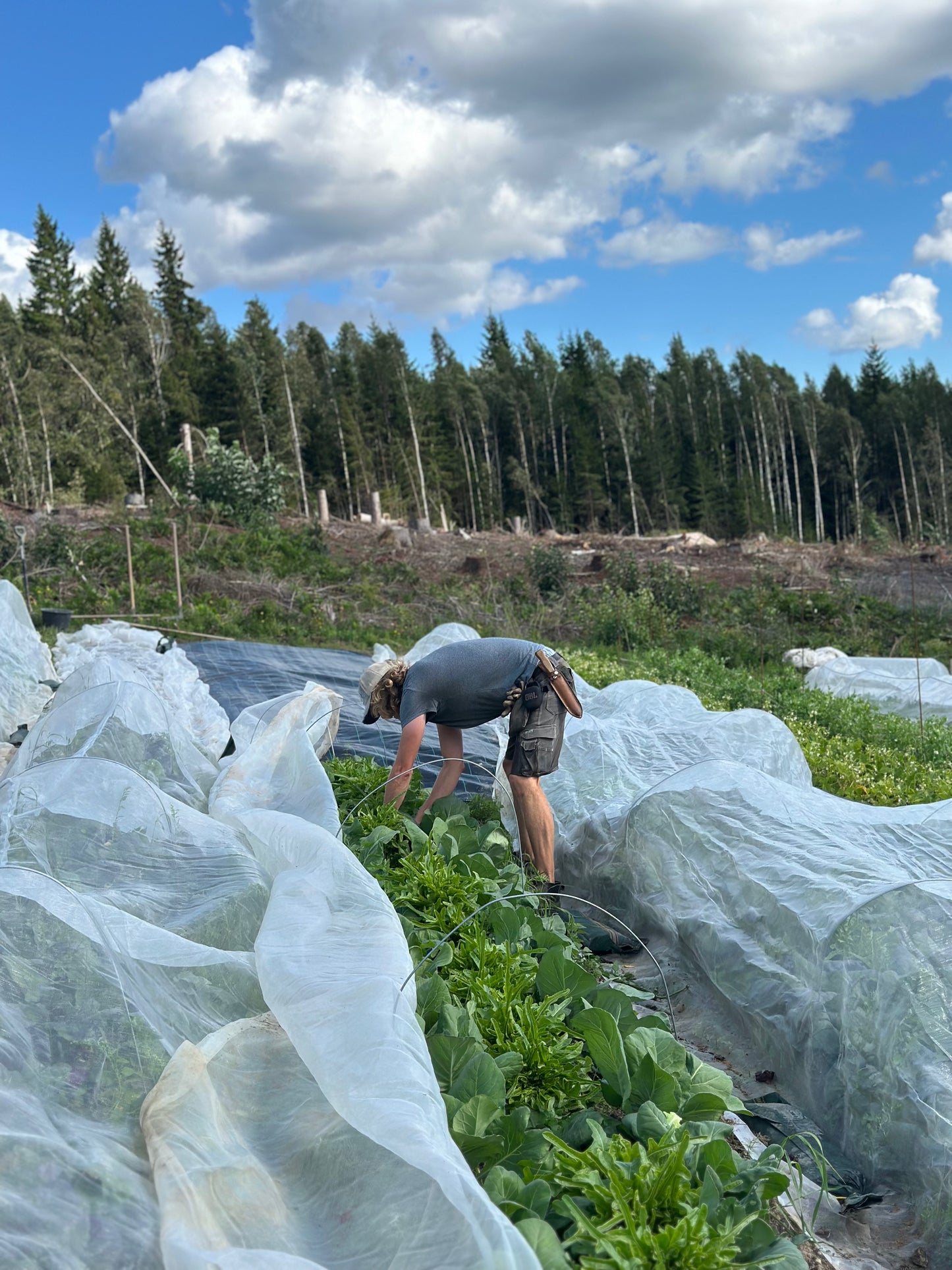 Bli Andelsmedlem och spara upp till 1000 kr