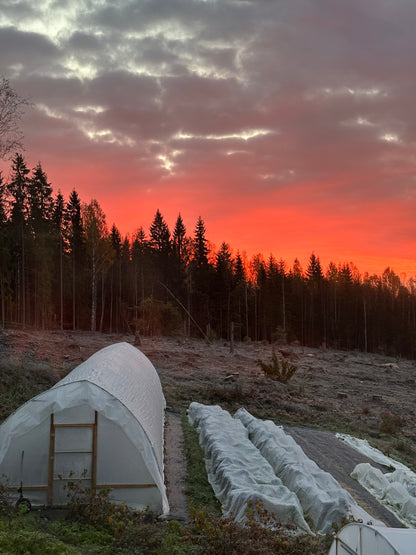 Bli Andelsmedlem och spara upp till 1000 kr